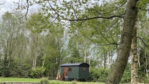 A small, green, single-story cabin with a red door, situated in a lush, grassy area with a pond and trees in the background. - Heywood Glamping (Ormskirk)