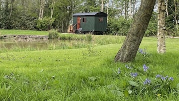 Deluxe Room, Private Bathroom, Lake View | Exterior