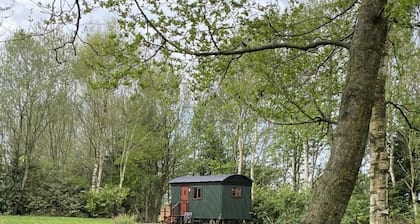 Heywood Glamping