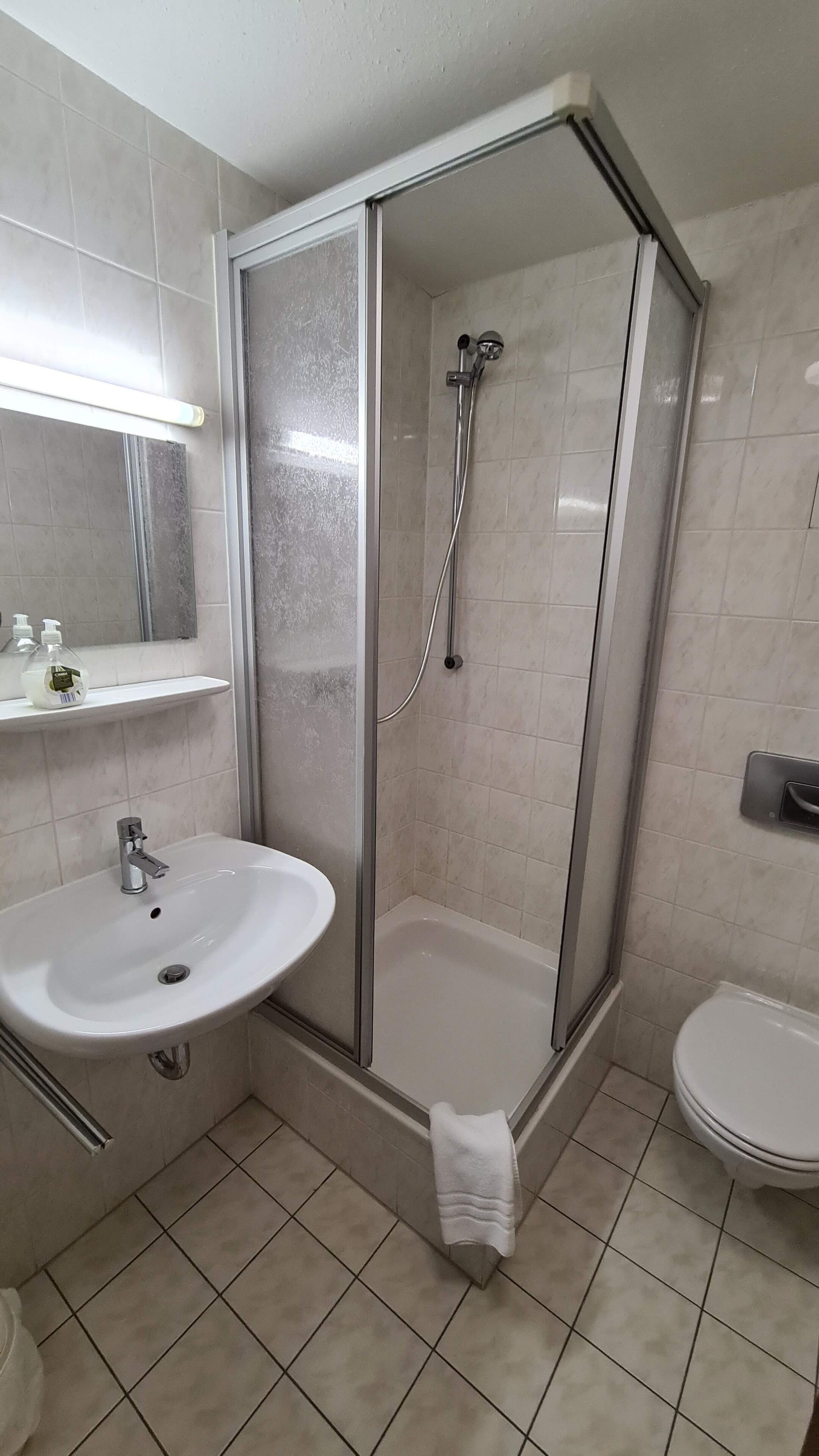 Et badeværelse med brusekabine, vask og toilet.