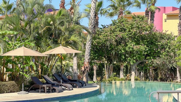 Un espace piscine agrémenté de chaises longues et de parasols, entouré de palmiers et de verdure.