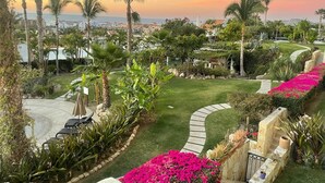 Un jardin aménagé avec des palmiers, un sentier et une vue sur la mer.