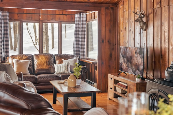 Smart TV, fireplace, books, stereo