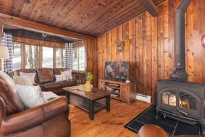 スマートテレビ、暖炉、書庫、ステレオ