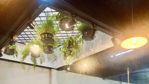 Una habitación con piso de madera, un cuadro enmarcado, un taburete pequeño y plantas colgantes.