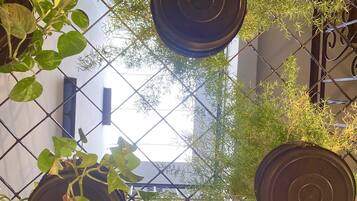 A view of a balcony with potted plants and a metal railing.