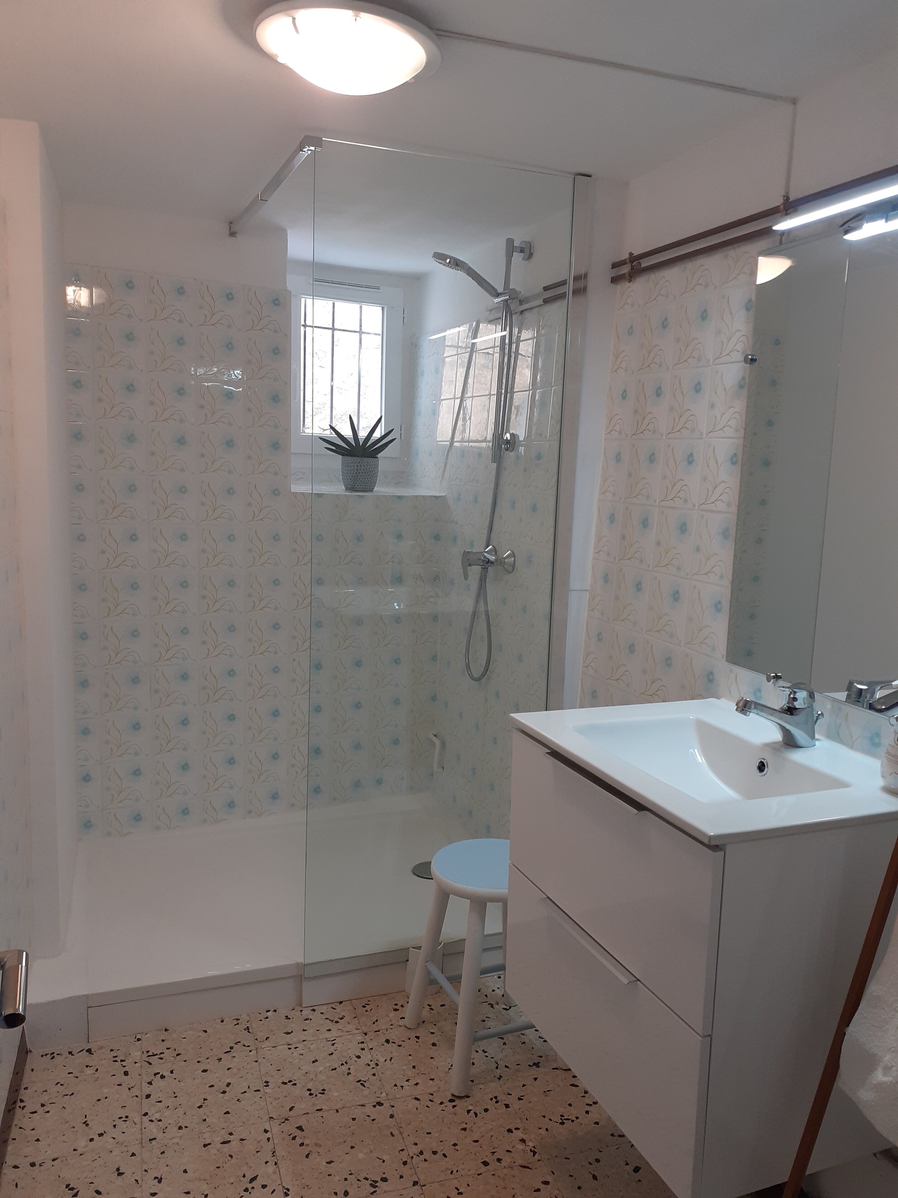 Shower, hair dryer, towels, toilet paper