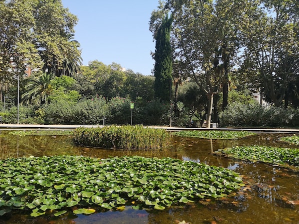 Enceinte de l’hébergement