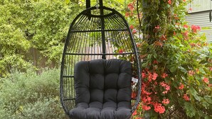 Un fauteuil suspendu noir dans un jardin luxuriant, parsemé de plantes à feuillage dense et de fleurs.