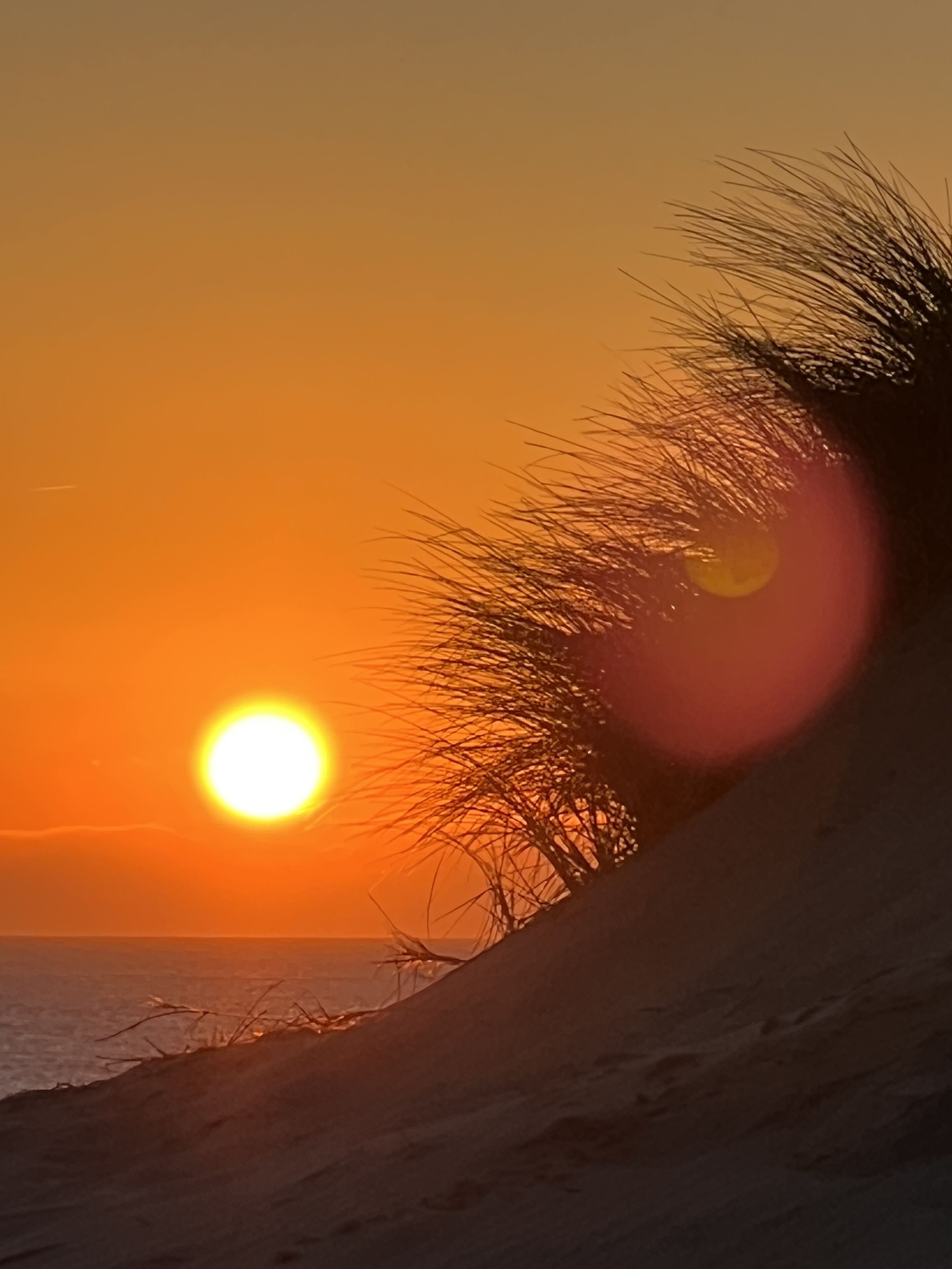 A sunset over a beach with a dune and sparse vegetation.