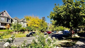 Une rue résidentielle bordée de maisons, de voitures garées et d’une végétation luxuriante.