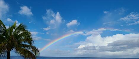 På stranden, solsenger og strandhåndklær