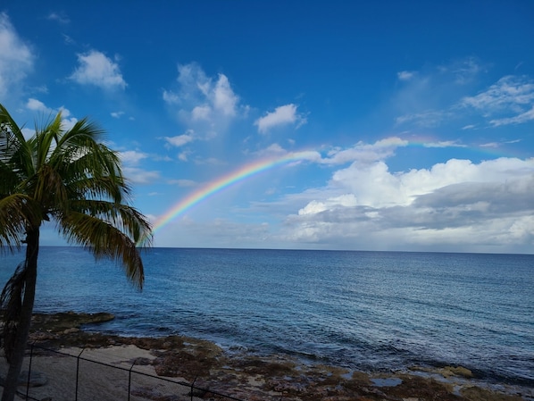 On the beach, sun-loungers, beach towels - Beachfront Condo--faces west with amazing sunsets and snorkeling. (Frederiksted)