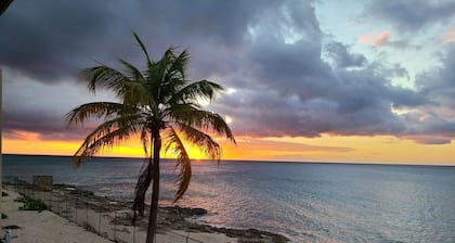 Beachfront Condo--faces west with amazing sunsets and snorkeling.