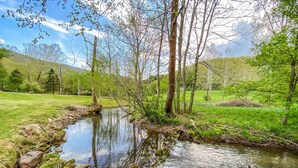 Un paisaje natural con un arroyo, árboles y una zona cubierta de hierba.