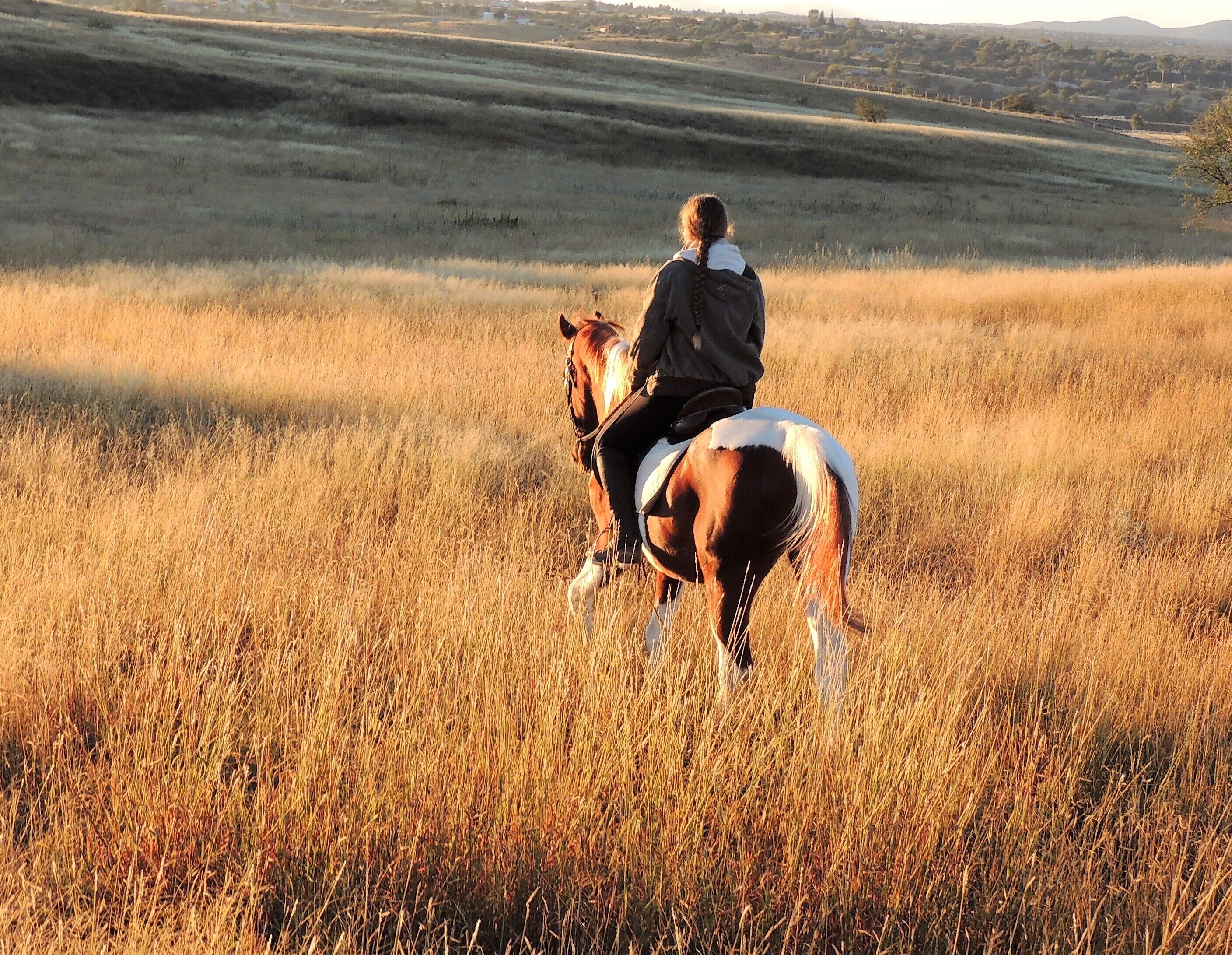 Une personne à cheval dans un champ, avec des collines ondoyantes en arrière-plan.