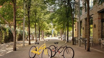 Un sendero pavimentado bordeado de árboles y bancos, con bicicletas estacionadas al costado.