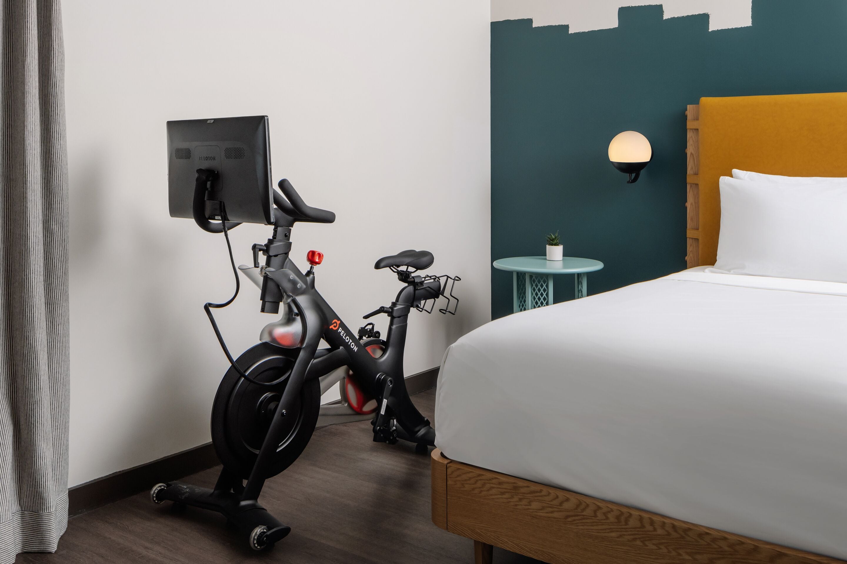 A hotel room with a bed, a wall-mounted TV, a small table with a plant, and two exercise bikes.