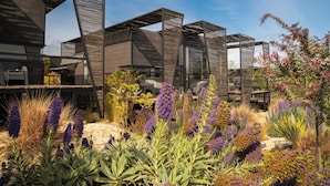 A modern architectural structure with geometric shapes and a garden with various plants. - Taka Matanzas (Navidad)