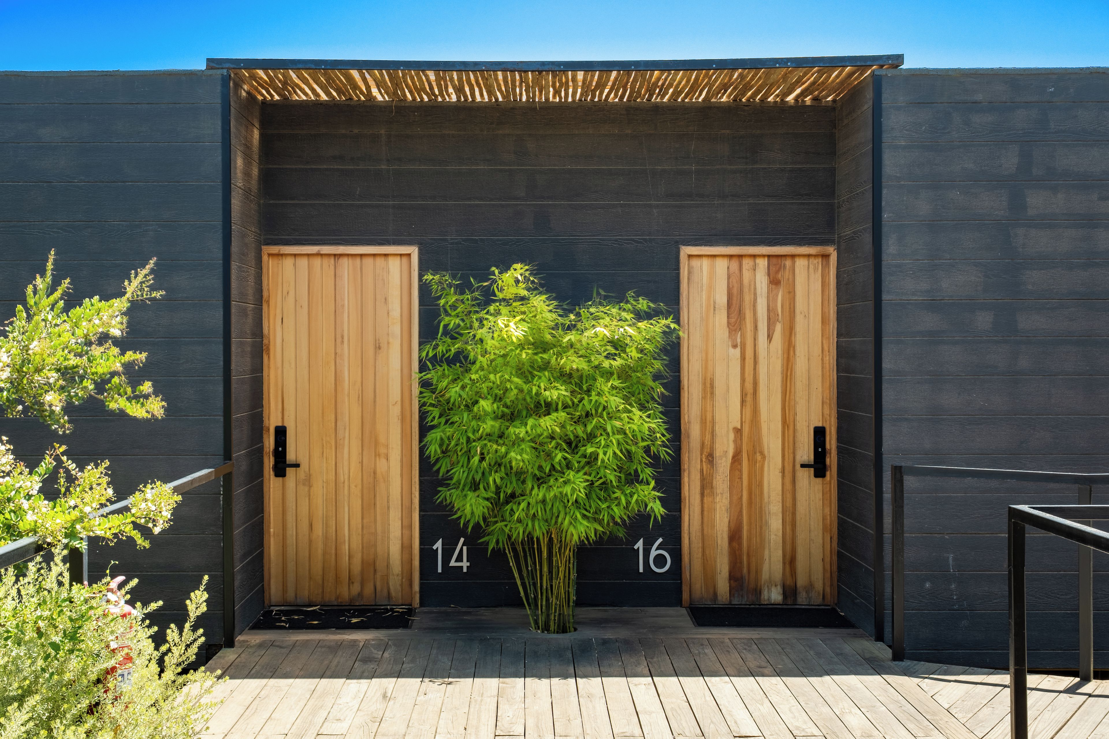 A modern building entrance with two wooden doors, numbered 14 and 16, and a bamboo plant in the center.