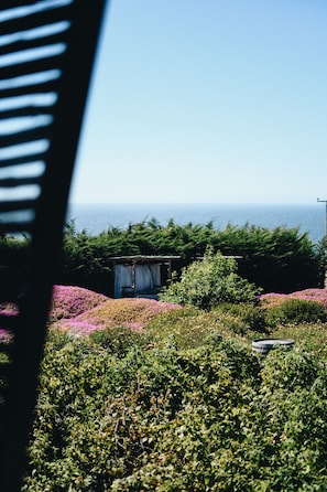 A garden with a small structure, dense greenery, and a view of the ocean. - Taka Matanzas (Navidad)
