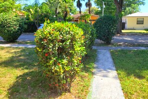 Enceinte de l’hébergement