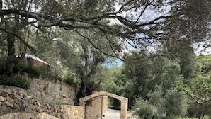 A stone pathway leading to a gated entrance surrounded by trees and a stone wall. - Caseddu in the shade of the Olive Trees, just a few steps from the sea. (Olmeto)