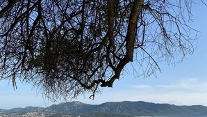 A beach with clear water, a sandy shore, and mountains in the background. - Caseddu in the shade of the Olive Trees, just a few steps from the sea. (Olmeto)