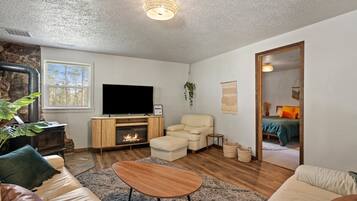 Smart TV, fireplace, books, music library