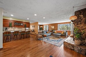 Smart TV, fireplace, books, music library