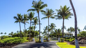 A paved road leading to a gated entrance with palm trees and a building in the background.