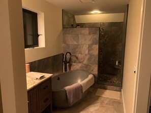 Combined shower/tub, bidet