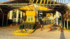Un edificio de fachada amarilla, con un porche cubierto y una palmera en lo alto.