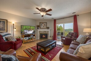 Smart TV, fireplace, books