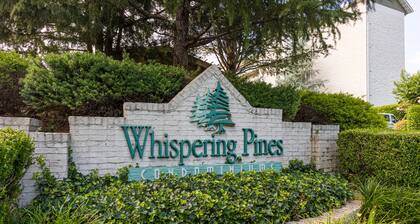 Whispering Pines Condo 2 bedroom/2 bath City View Balcony