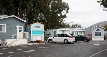 Lovely Tiny House Nestled in the Eucalyptus trees