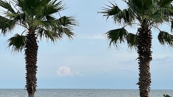 Plage à proximité, chaises longues, serviettes de plage