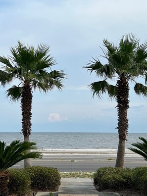 Beach nearby, sun-loungers, beach towels