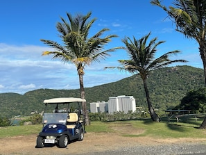 A golf cart parked on a dirt path with palm trees and a building in the background.