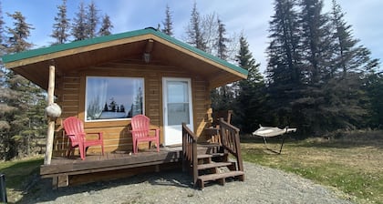 Cute & Cozy Cabin @ Moose Tracks Lodging