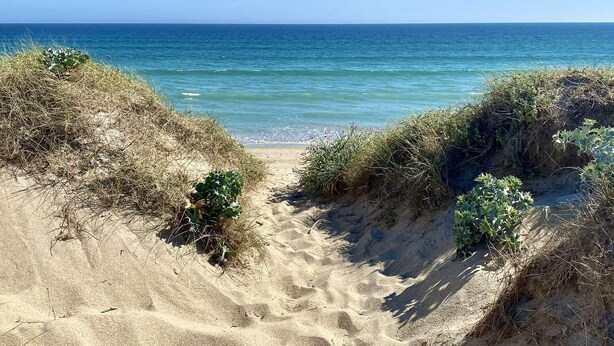 Beach - Etel - 2-room apartment - 43 sqm - Wifi - Classified 3* (ETEL)
