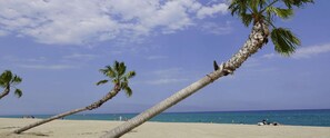 Vlak bij het strand