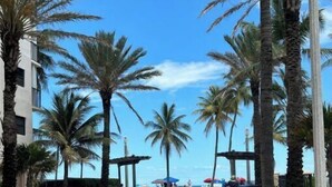 Un camino pavimentado bordeado de palmeras y un poste de luz, que conduce hacia una zona de playa con sombrillas y una persona caminando.