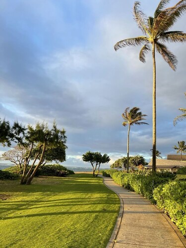 Amazing Studio By The Beach! 1BR