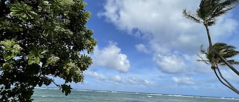 In Strandnähe, Strandtücher