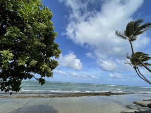 In Strandnähe, Strandtücher