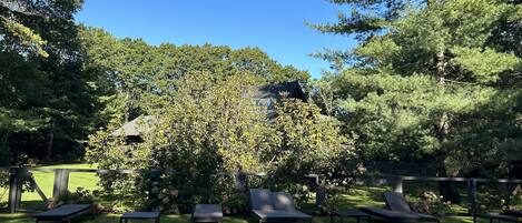 室外游泳池,恒温泳池