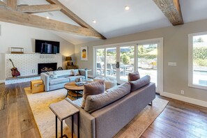 TV, fireplace, books