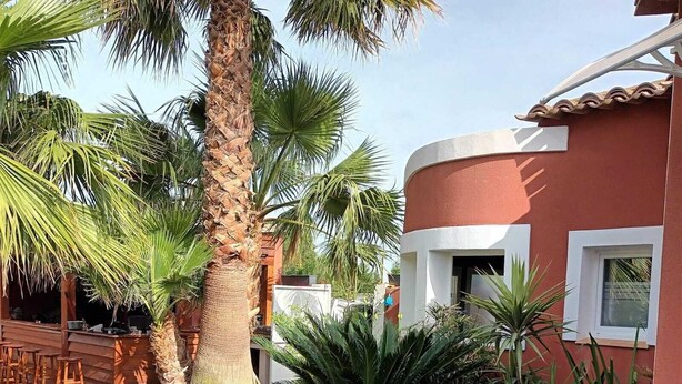 A well-maintained garden with palm trees, a stone pathway, and a wooden deck. - Vacation home 5 minutes from the beach (Agde)