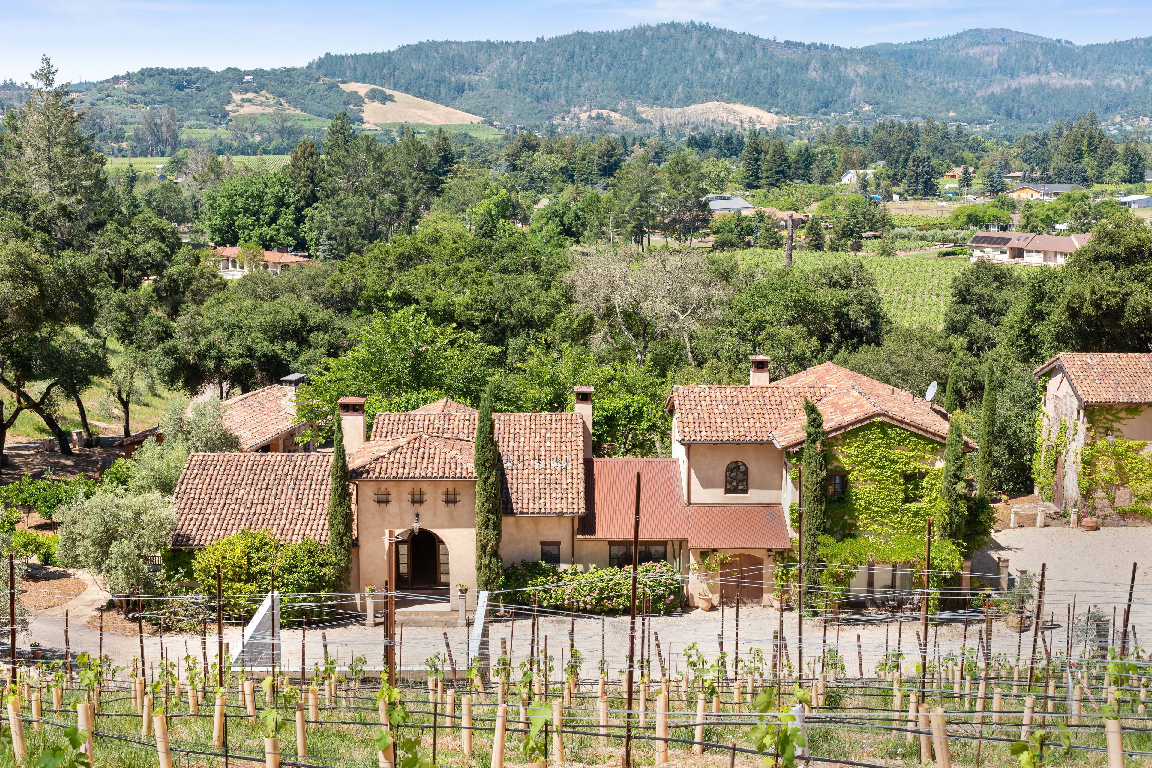 Locanda Winery estate with Olympic-size pool & Starlink WiFi - dog-friendly